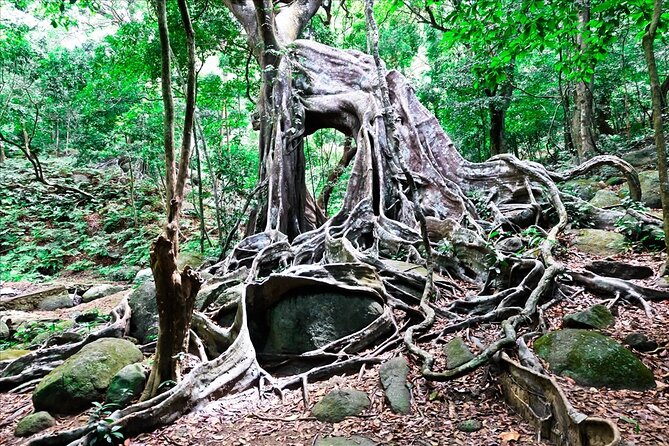 Ba Na Hill/Golden Bridge/Dragon Bridge Customize Tour by Private - Tinh Tam Garden and old details that make the day feel less staged