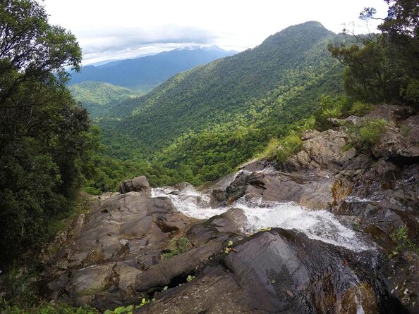 Bach Ma National Park trekking daily tour from Da Nang, Hoi An - Key highlights to know before you go
