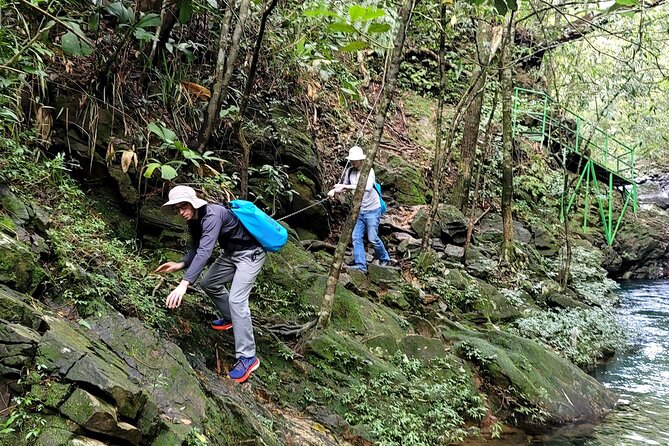 Bach Ma National Park trekking daily tour from Da Nang, Hoi An - What the guides and small group really change