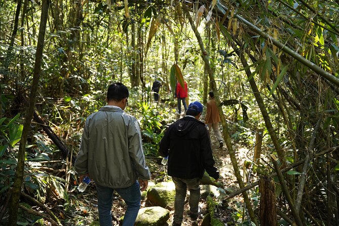 Bach Ma National Park trekking daily tour from Da Nang, Hoi An - Price and value: is $69 a smart deal?