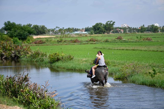 Buffalo Riding and basket boat tour from Da Nang/ Hoi An - Price and what $25 actually gets you