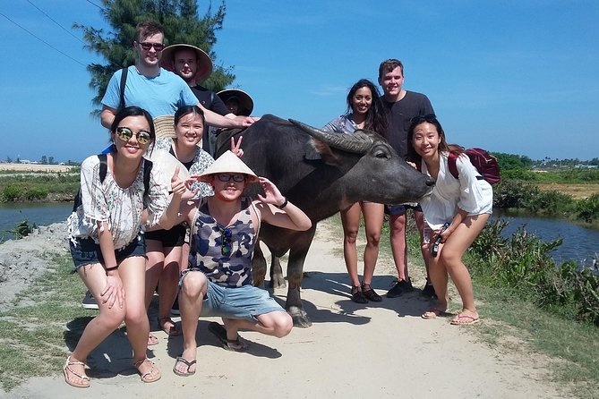Buffalo Riding and basket boat tour from Da Nang/ Hoi An - Buffalo riding: a quick thrill with real payoff