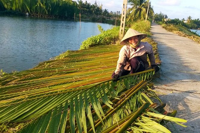 Buffalo Riding and basket boat tour from Da Nang/ Hoi An - The bike ride question (important if cycling matters to you)