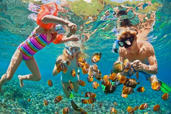 Cham Island Daily-Snorkeling(Optional:Pick up at Cua Dai Port) - Key highlights to clock before you go