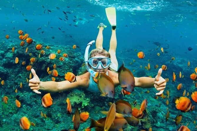 Cham Island Daily-Snorkeling(Optional:Pick up at Cua Dai Port) - The speedboat ride: where the day’s atmosphere starts