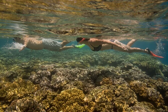 Cham Island Daily-Snorkeling(Optional:Pick up at Cua Dai Port) - Cham Island culture stops you won’t get on a pure beach day