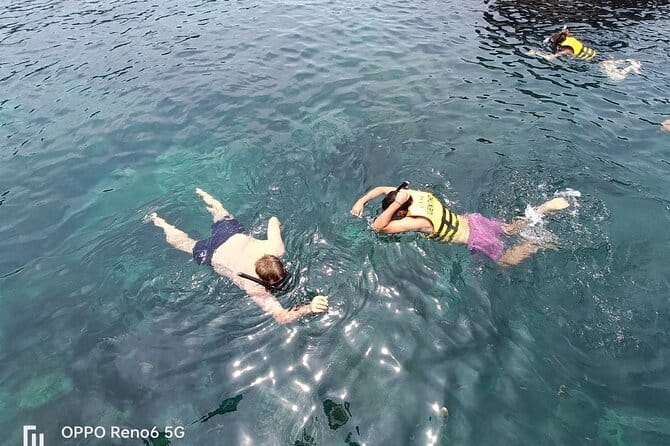 Cham island snorkeling tour - Who this tour is best for (and who should double-check expectations)
