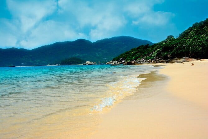 Cham island snorkeling tour - Timing and logistics you should know before you go