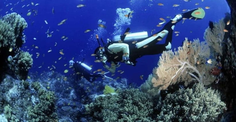 Cham Islands Snorkeling Tour by Speedboat : Hoi An/Da Nang - Key things to know before you go