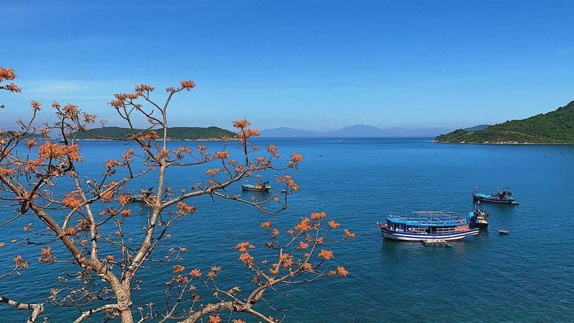 Cham Islands Snorkeling Tour by Speedboat : Hoi An/Da Nang - Getting to Cua Dai Harbour: the morning rhythm