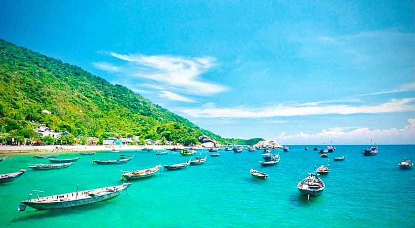Cham Islands Snorkeling Tour by Speedboat : Hoi An/Da Nang - Price and value: is $33 a fair deal?