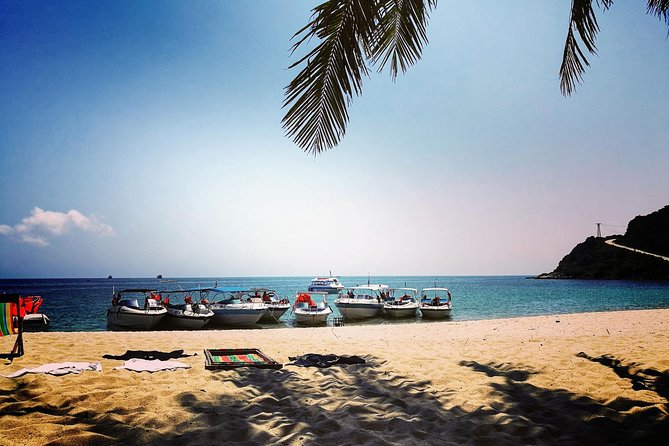Cu Lao Cham Island Tour from Da Nang/ Hoi An - A fast speedboat day off Da Nang’s map