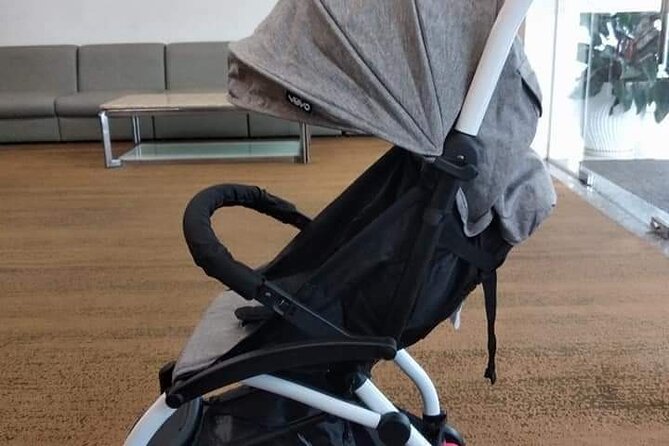 Da Nang Baby Stroller/Safety Car Seating or Wheel Chair Rental - Using the stroller for Golden Bridge, Hoi An, and Lady Buddha days