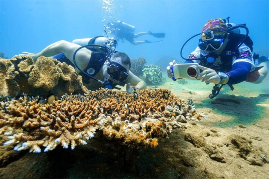 Da Nang: Cham Island Boat Day Trip with Snorkeling and Lunch - Key things to know before you go