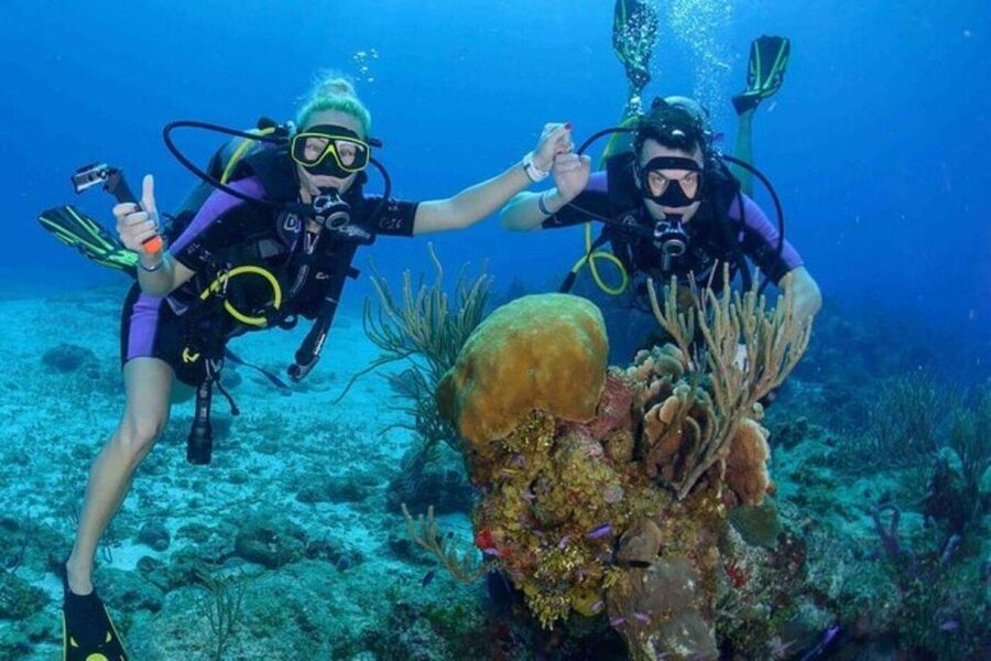 Da Nang: Cham Island Boat Day Trip with Snorkeling and Lunch - Price and value at about $41 per person