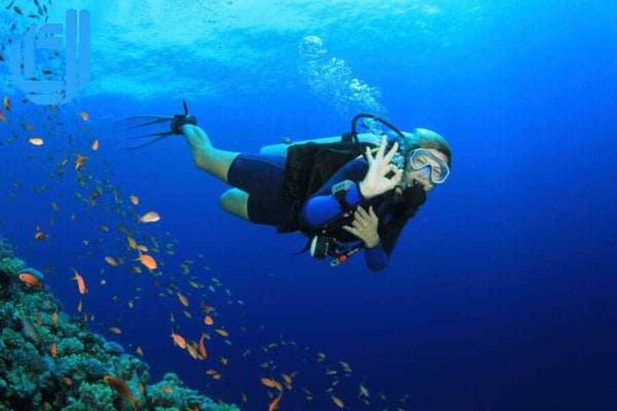 Da Nang: Cham Island Boat Day Trip with Snorkeling and Lunch - Hai Tang Pagoda: a calm stop that breaks up the water time
