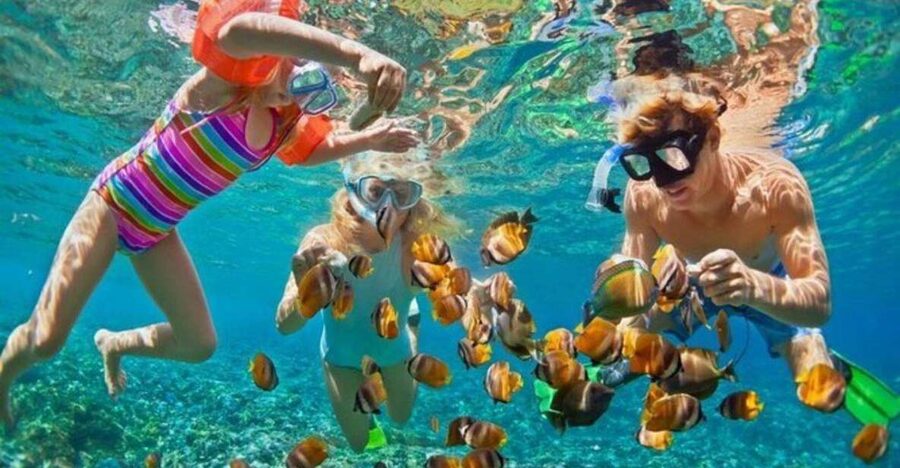 Da Nang: Cham Island Boat Day Trip with Snorkeling and Lunch - Snorkeling on Cu Lao Cham: what’s included and how to get the most