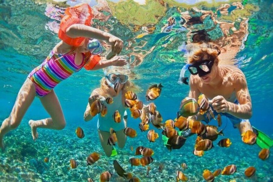Da Nang: Cham Island Boat Day Trip with Snorkeling and Lunch - Cu Lao Cham by canoe: Sa Huynh cultural area and the Marine Reserve focus