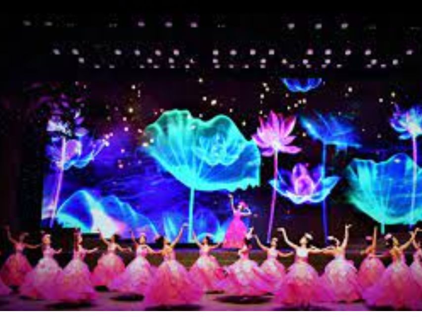 Da Nang Charming Show Viet Nam - Why this show makes sense in Central Vietnam