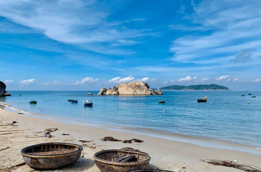 Da Nang/Hoi An:Explore Cham Island and Snorkeling tour 1 Day - Who this tour is best for, and who should skip it