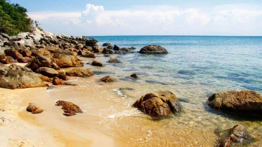 Da Nang/Hoi An:Explore Cham Island and Snorkeling tour 1 Day - Island lunch plus beach time: where the day cools down