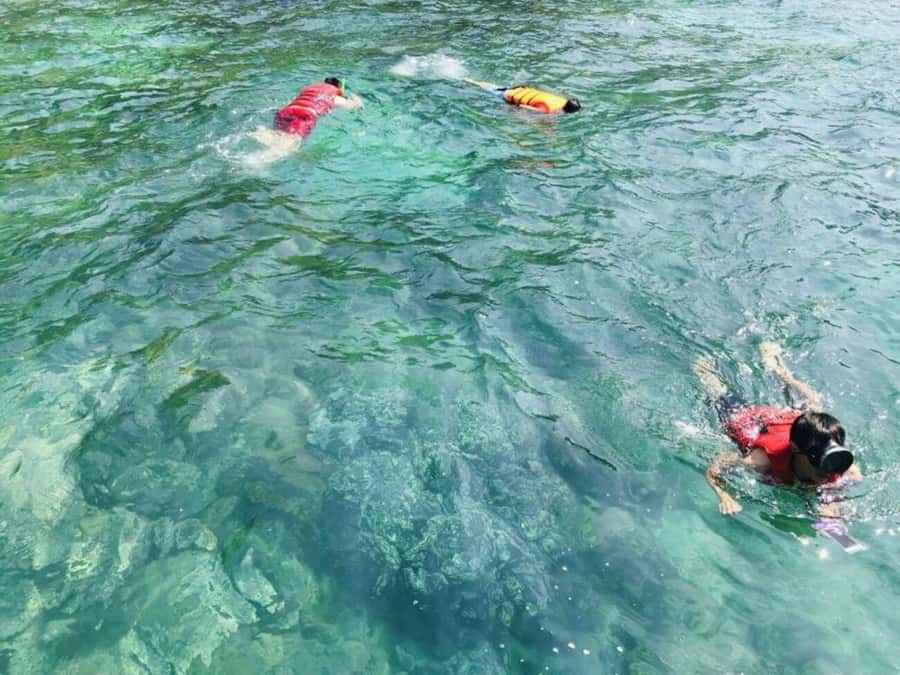 Da Nang/Hoi An:Explore Cham Island and Snorkeling tour 1 Day - English guide quality and safety: why one name kept coming up