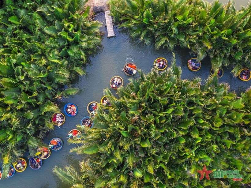 Da Nang: Marble Mountains, Hoi An, and Coconut Forest Tour - Key things to know before you go