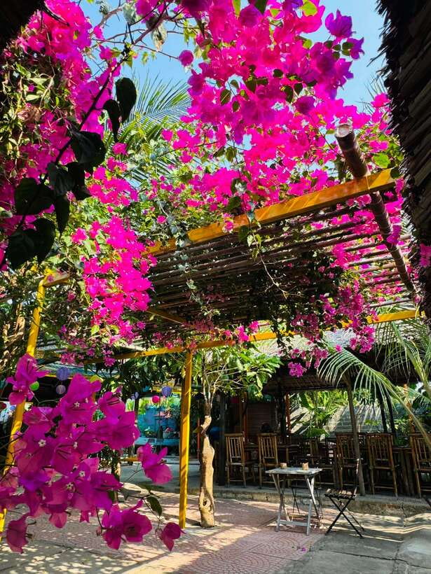 Da Nang: Marble Mountains, Hoi An, and Coconut Forest Tour - Hoi An old town: assembly halls, bridges, temples, and lantern magic