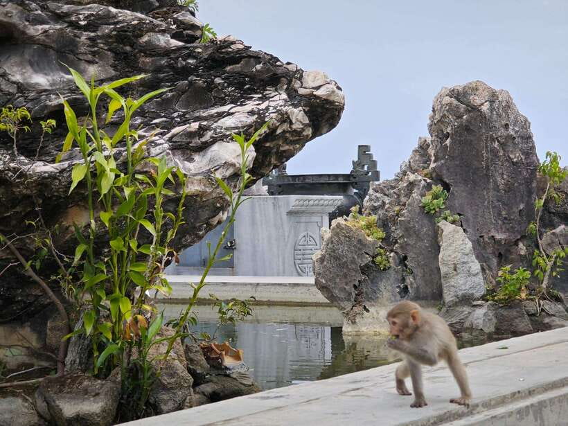 Da Nang : Private Car to Hue with Multi Sightseeing Stops - Practical tips so your day doesn’t get messy