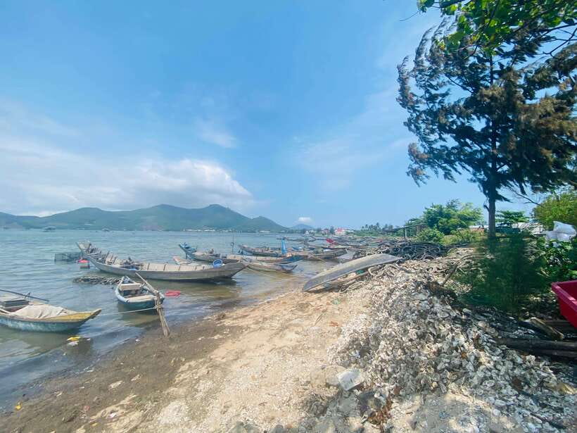 Da Nang : Private Day Trip to Imperial City - Hue - Why This Private Car Setup Feels Different Than a Shared Tour