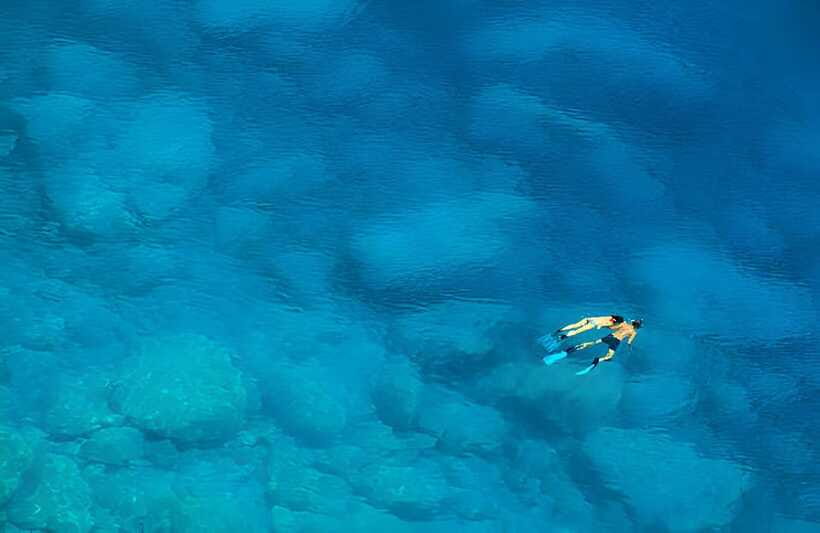 Da Nang: Son Tra Peninsula Exploration - Snorkeling, Fishing - The snorkeling experience: what you should actually expect underwater