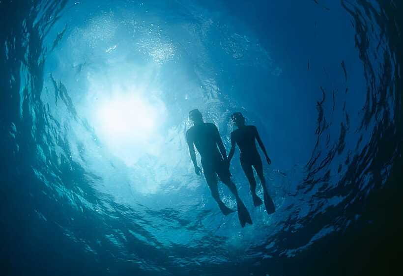Da Nang: Son Tra Peninsula Exploration - Snorkeling, Fishing - What’s included (and what it means for your total cost)