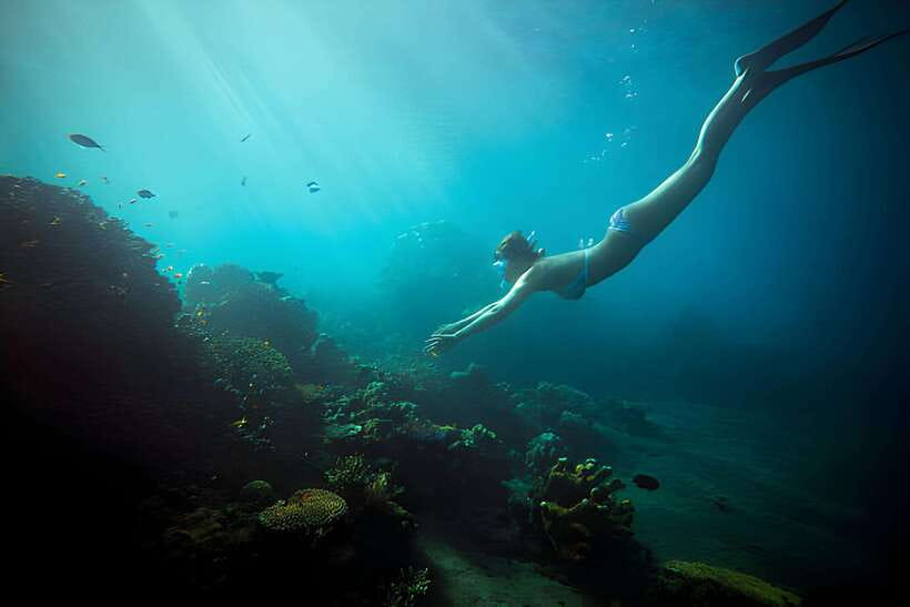 Da Nang: Son Tra Peninsula Exploration - Snorkeling, Fishing - What to bring: simple items that make the day smoother