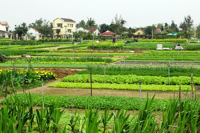 Danang Airport to Hoi An Private Transfer with English Speaking Driver - Price and value: $19 per group up to 3 people
