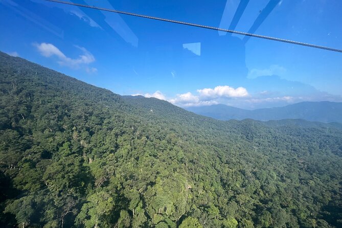 Early tour/ transfer from Hoi An/Da Nang to Golden bridge - French Wine Cellar and Gardens: Why This Stop Breaks Up the Theme-Park Feeling