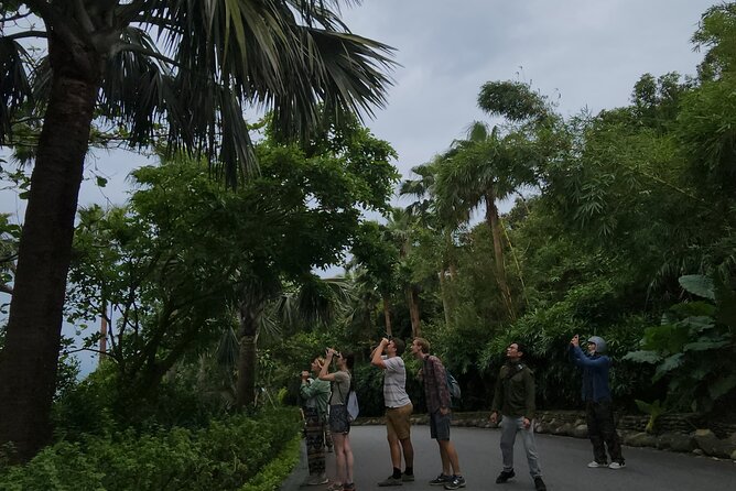 Endangered Monkeys Watching - Red Shanked Douc Langurs - The scooter ride from Esco Beach, and why it matters