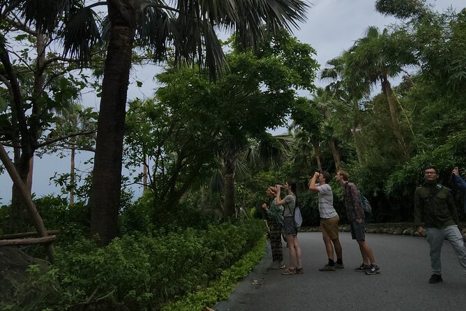 Endangered Monkeys Watching - Red Shanked Douc Langurs - What to pack and how to set yourself up for a great day