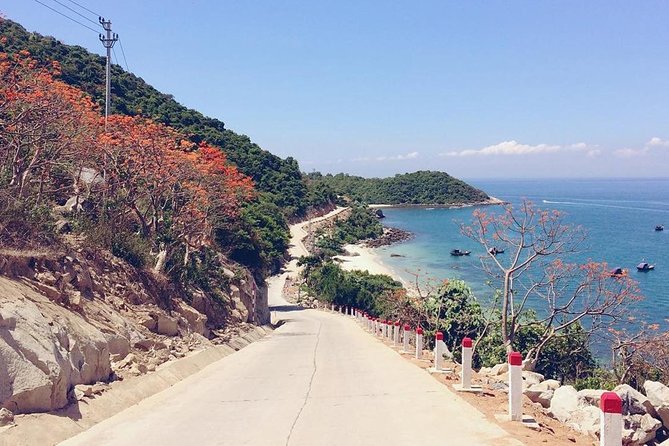 From Da Nang/ Hoi An: Cham Island Day Tour with snorkeling fun - Getting There: Da Nang or Hoi An, Without the Headache