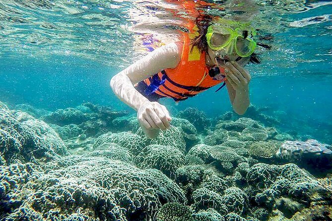 From Da Nang/ Hoi An: Cham Island Day Tour with snorkeling fun - Lunch and Beach Time: Why Families Often Like This Day