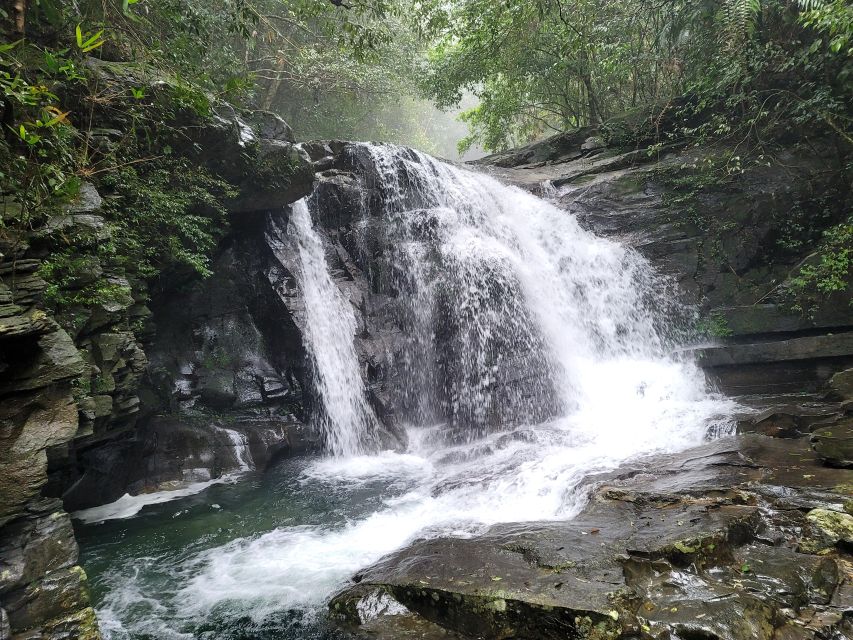 From Da Nang or Hoi An: Bach Ma National Park Trek & Lunch - Key points worth knowing before you go