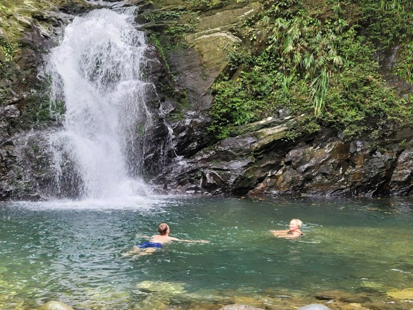 From Da Nang or Hoi An: Bach Ma National Park Trek & Lunch - Weather, safety, and who should reconsider this trek