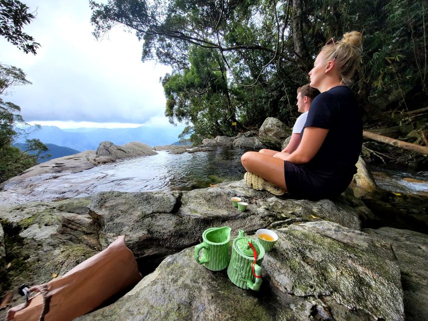 From Da Nang or Hoi An: Bach Ma National Park Trek & Lunch - Guides, small-group pacing, and why people talk about the people on this trip