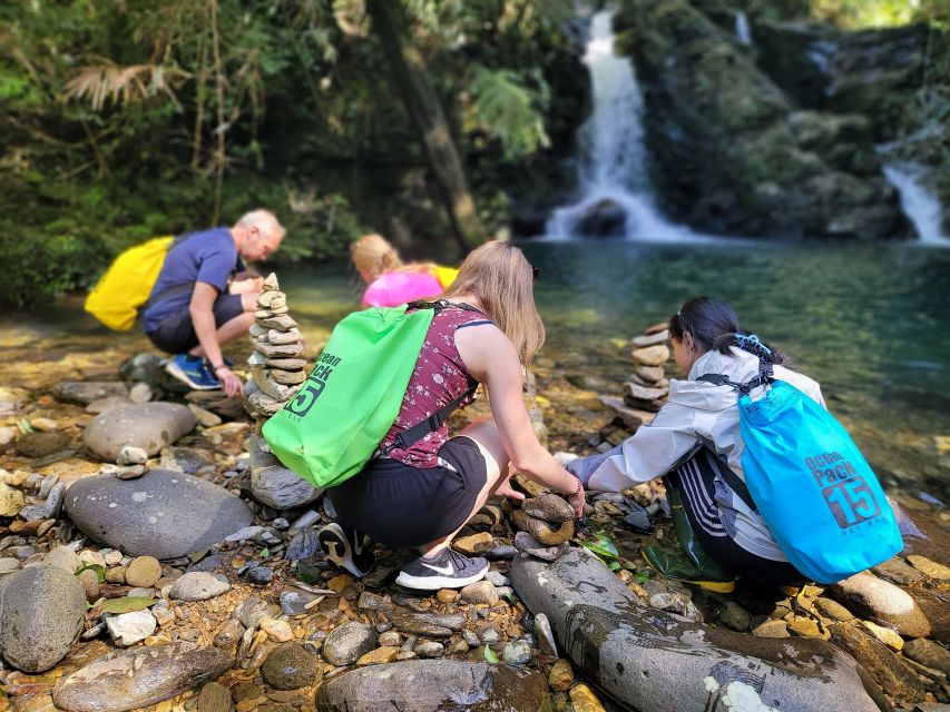 From Da Nang or Hoi An: Bach Ma National Park Trek & Lunch - Pickup and timing from Hoi An vs Da Nang