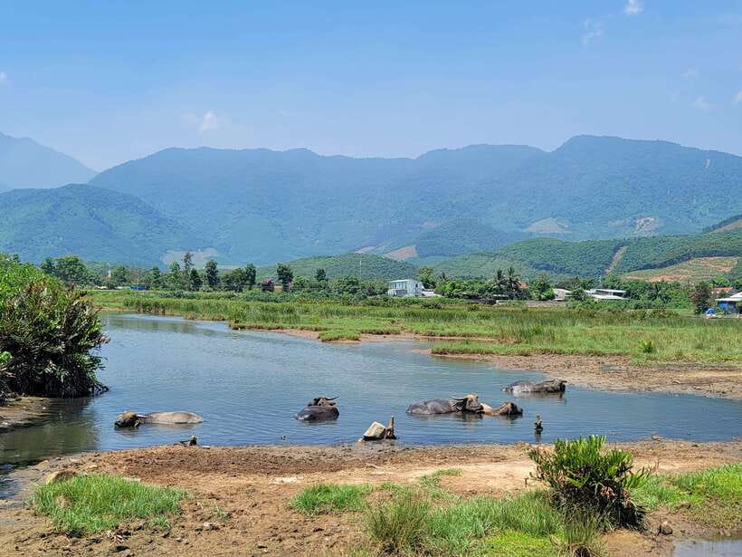 From Hoi An: Hai Van Pass Loop Tour By Easyrider - FAQ