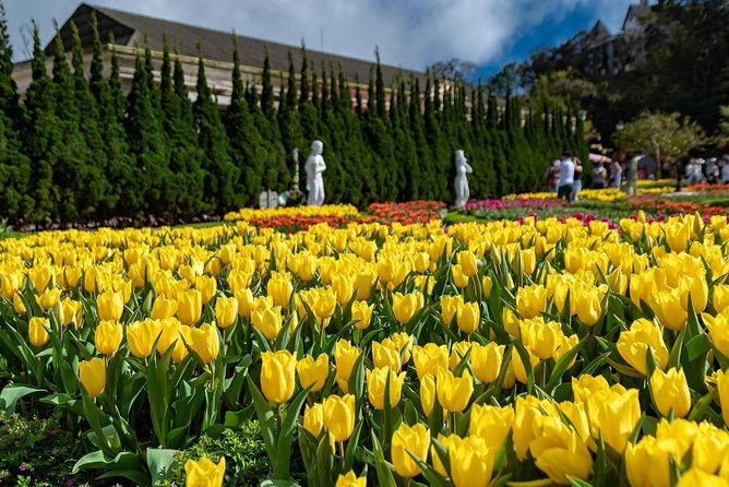 Full day Ba Na Hill with Cable Car and Lunch from Da Nang - Lunch at Ba Na Hills: how the buffet fits a full day