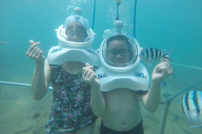 Full-day Cham Islands Cruise from Hoi An with Underwater Walking Excursion - Hoi An to the Cham Islands: your morning on a traditional boat
