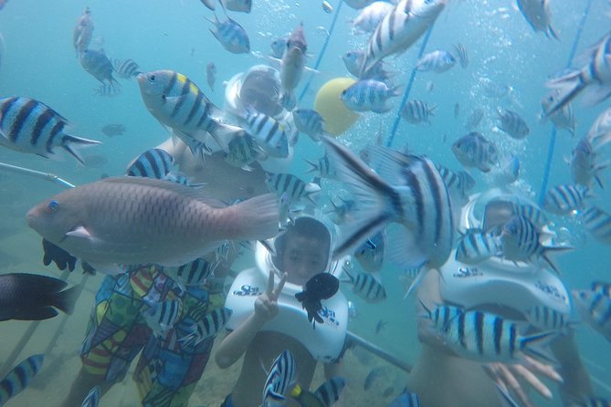 Full-day Cham Islands Cruise from Hoi An with Underwater Walking Excursion - Hon Nhon beach, snorkeling breaks, and how to get better visibility