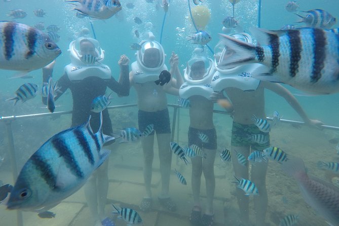 Full-day Cham Islands Cruise from Hoi An with Underwater Walking Excursion - Price and value: is $68 a fair deal from Hoi An?
