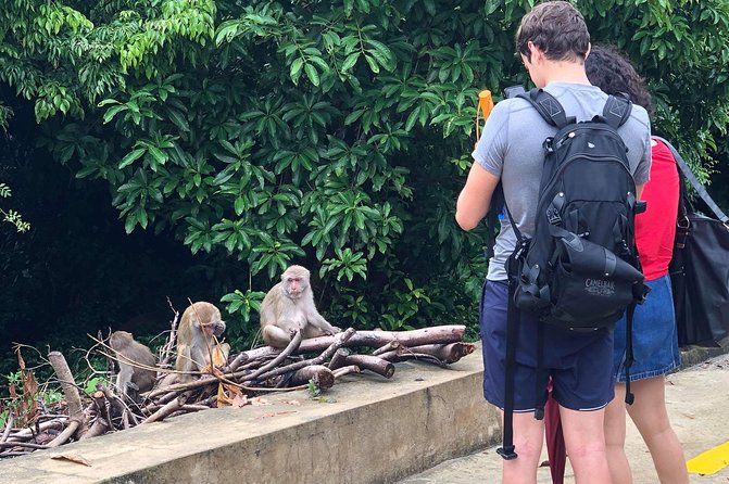 Golden Bridge, Monkey Mt, Marble – Private Car (EN Driver) - Price and What You’ll Actually Pay at the Gate