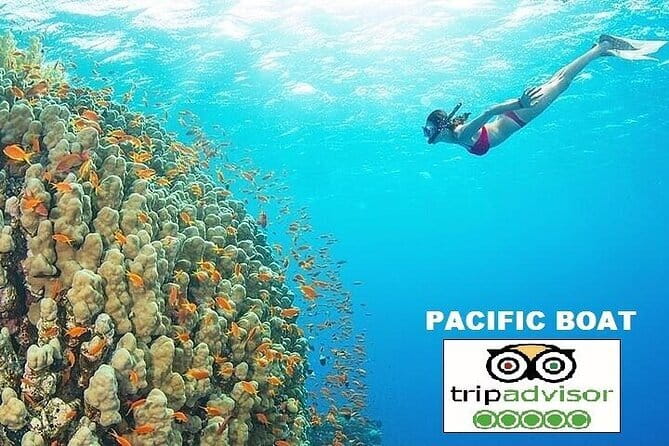 Guided Private My Son Sanctuary from Hoi An or Da Nang - Comfort, inclusions, and value for $65 per person